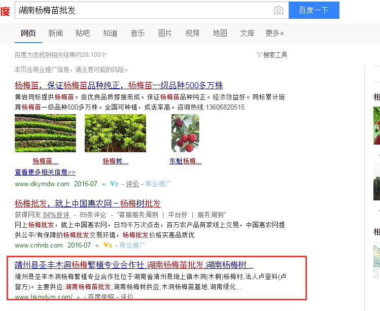這樣做seo，靖州楊梅網(wǎng)站排名有盼頭