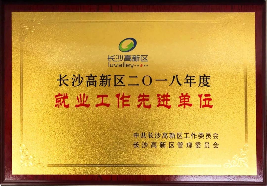 競網(wǎng)獲長沙高新區(qū)2018年度“就業(yè)工作先進單位”稱號！